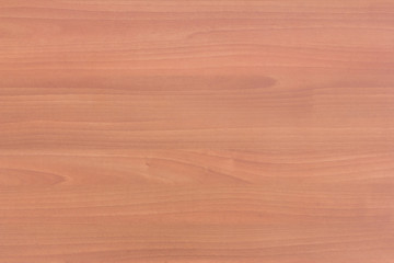 Obraz premium Wood texture. Wood texture for design and decoration