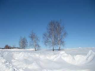 winter, snow, landscape, tree, cold, forest, nature, sky, frost, trees, white, blue, ice, scene, season, field, frozen, snowy, road, christmas, park, day, path, scenery, wood