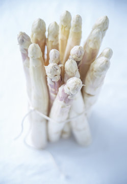 asperges blanches , botte d'asperges 