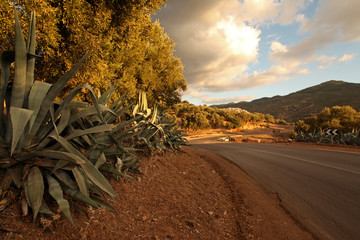 Morocco rural road