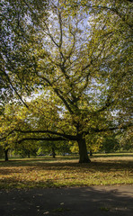 Naklejka premium José Sánchez Muñoz