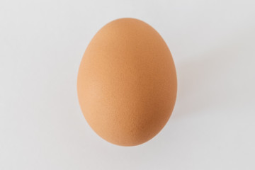 Brown egg on white background. Minimal concept.