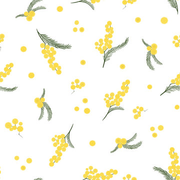 Spring Seamless Pattern With Branches Of Mimosa. Vector.