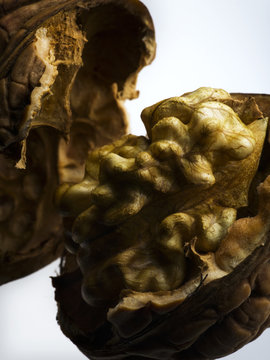 noix  , fruit , cerneaux,