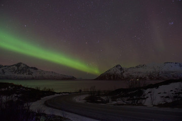 Green Northern Light (Aurora Borealis) in a clear starry night above a Norwegian fjord, Tromsø, Norway