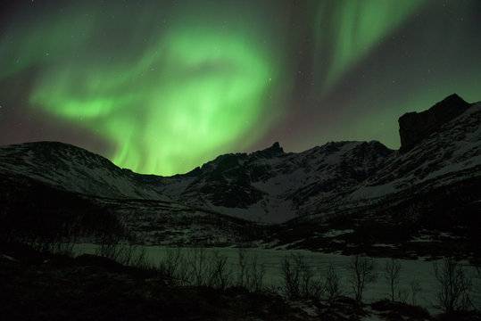 Bright green Northern Light (Aurora Borealis) lighting up the dark skies above the mountains, Tromsø, Norway
