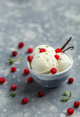 Vanilla ice cream