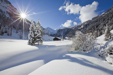 Purer Sonnenschein auf der Alm im Winter in Flachauwinkl /Salzburger Land / Alpen