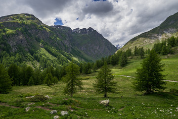 Fototapeta na wymiar paisaje alpino verano con nubes