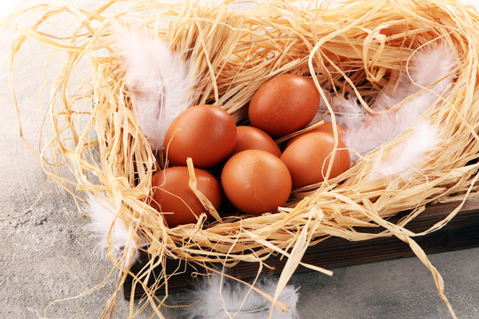 Egg. Fresh farm eggs on a wooden rustic background.