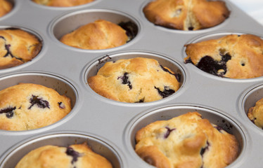 A Background of Homemade Blueberry Muffins in a Baking Tin