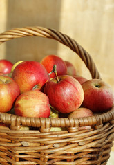 Bright tasty ripe apples in a basket