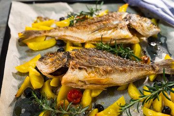 Grilled gilt-head bream