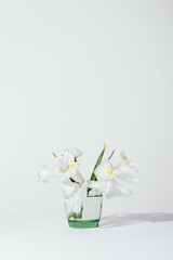 Vertical framing of flowers irises in a green vase