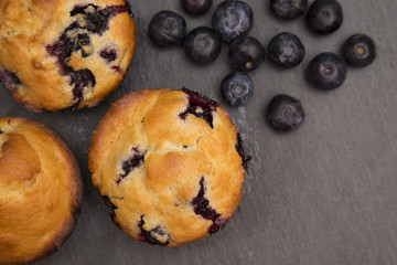 Homemade Blueberry Muffins on a Slate Board