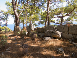 Ruins in Phaselis, Turkey, Stones in the pine forest, An ancient Greek and Roman city on the coast of Lycia