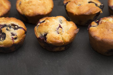 Homemade Blueberry Muffins on a Slate Board