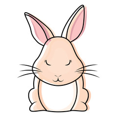 Cute rabbit icon 