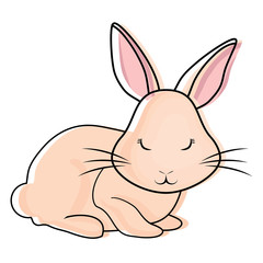 Cute rabbit icon 