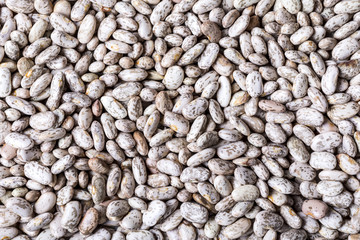 Close up texture of Peruvian bean.