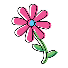 beautiful flowers design