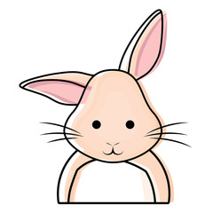 Cute rabbit icon 