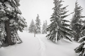 Winter landscape in mountains