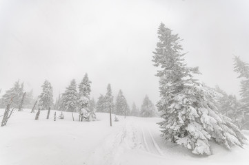 Winter landscape in mountains