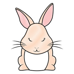 Cute rabbit icon 