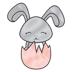 Cute rabbit icon 