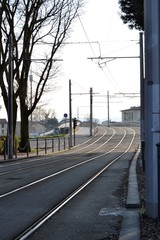 Fototapeta premium Firenze: Silenzio
