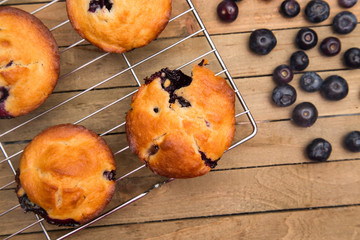 Homemade Blueberry Muffins on a Rustic Wood Table