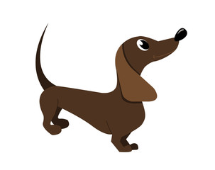 cartoon dachshund