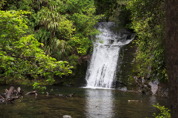Beautiful Waterfall in New Zealand in Lush Rainforest