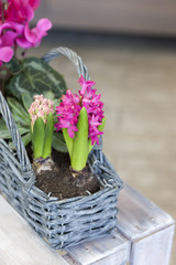 Корзина с весенними цветами