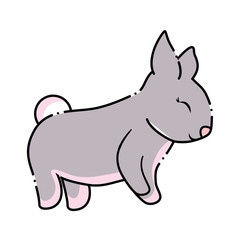 rabbit animal icon