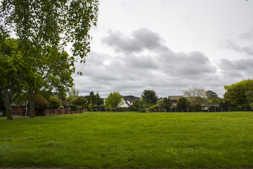 Green field and suburban houses landscape