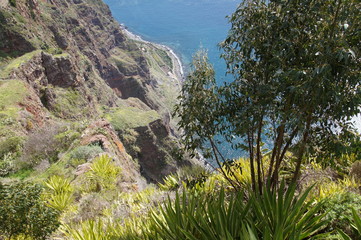 Madeira Cabo Girao 3