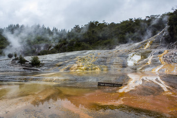 Cascade Terrace and hot springs Algae at Orakei Korako, The Hidden Valley, New Zealand