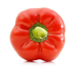 red pepper over white background
