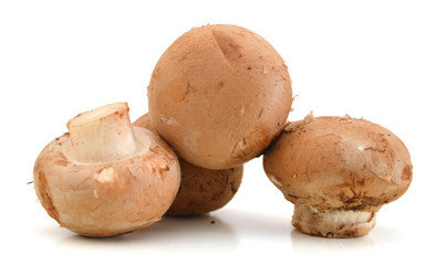 Brown champignon mushroom  isolated on white background cutout