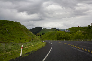 New Zealand road trip. Road view among rolling green hills