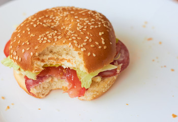 School lunch. Appetizing hamburger on a white plate.