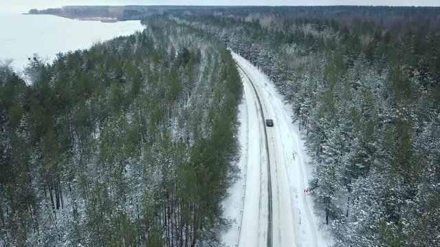 Flying above car driving on a winding road passing through the snowy winter forest