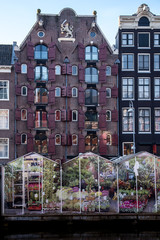 Obraz premium Lila Hausfassade in Amsterfam