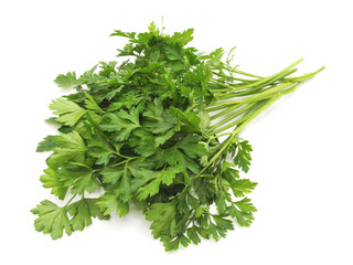 Bunch of green parsley.
