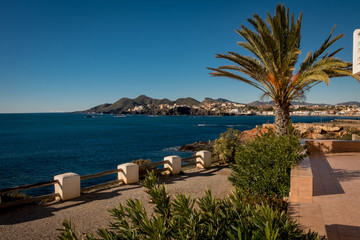 Mittelmeer mit Palme bei Cabo de Palos, Spanien