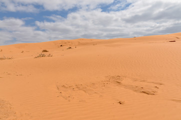 slopes of orange sand dunes in the desert Republic of Kalmykia