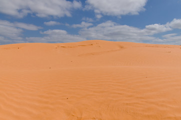 Fototapeta na wymiar untouched yellow sand dunes and blue sky in the desert between Kalmykia and Astrakhan region