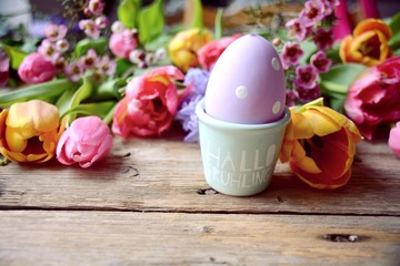 Grußkarte - Hallo Frühling - Frühlingsblumen mit Ei